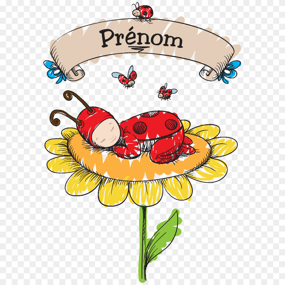 Prenom Personnalisable, Flower, Plant, People, Person Free Png