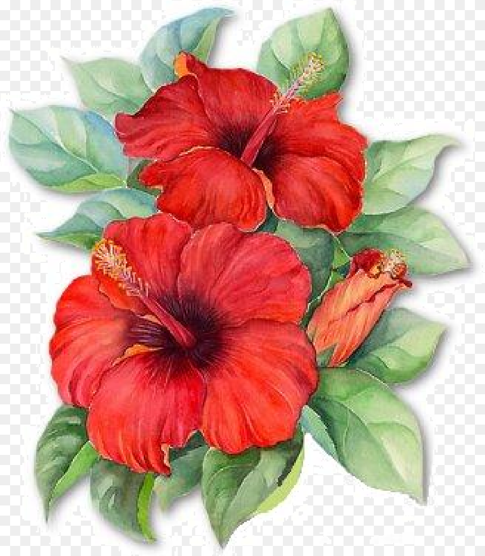 Preparacin Best Friend Snowflake Ornaments Red Hibiscus Tropical, Flower, Plant, Petal, Rose Free Transparent Png