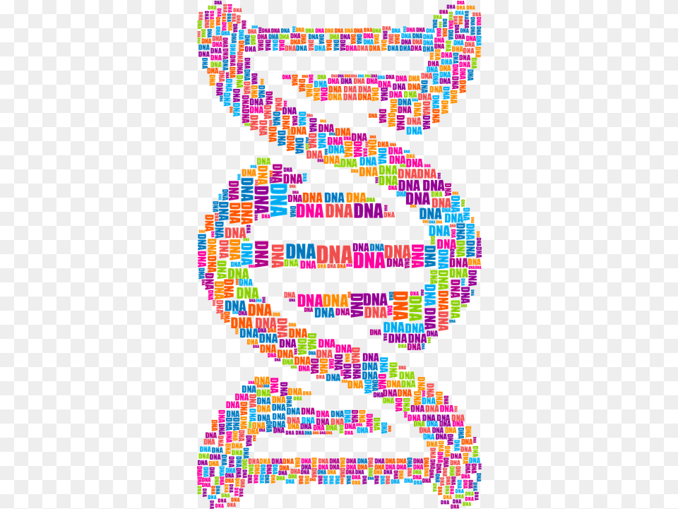Preprogramming Of Language Your Ability Is Stored Dna Word Cloud, Art, Baby, Graphics, Person Free Png Download