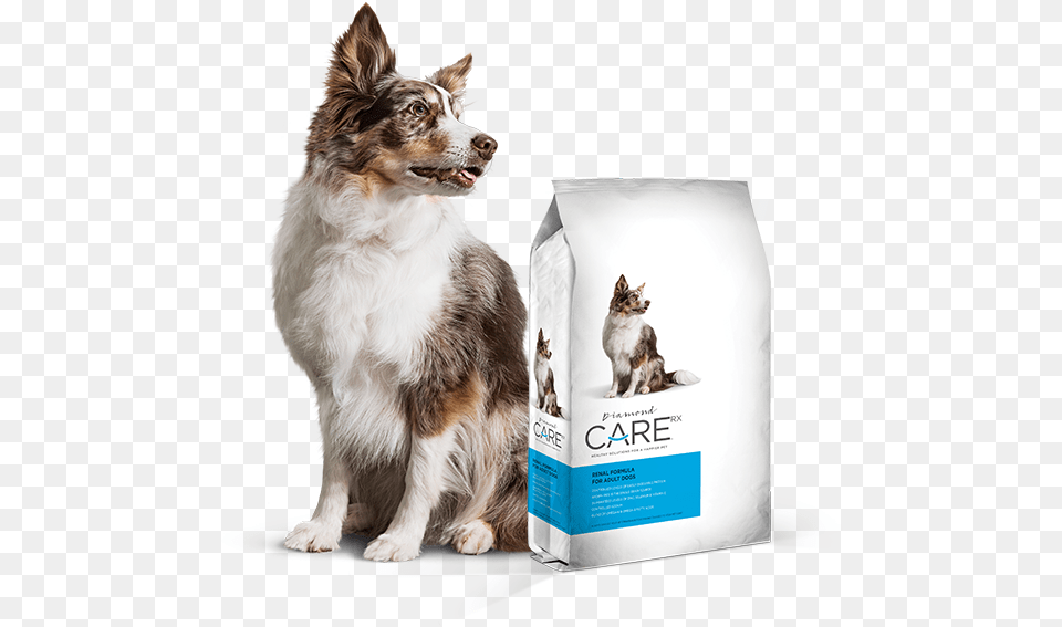 Prescription Renal Dog Food Diamond Care Renal Dog, Animal, Canine, Mammal, Pet Png Image