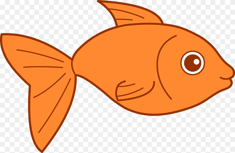 Presentation Name, Animal, Sea Life, Fish, Goldfish Png