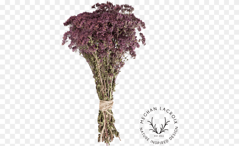 Preserved Herbs Meghan Lacroix Designs Artificial Flower, Flower Arrangement, Flower Bouquet, Plant, Purple Free Transparent Png