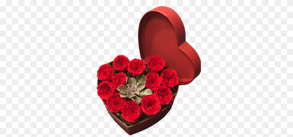 Preserved Red Rose Heart, Flower, Plant, Symbol, Flower Arrangement Free Png Download