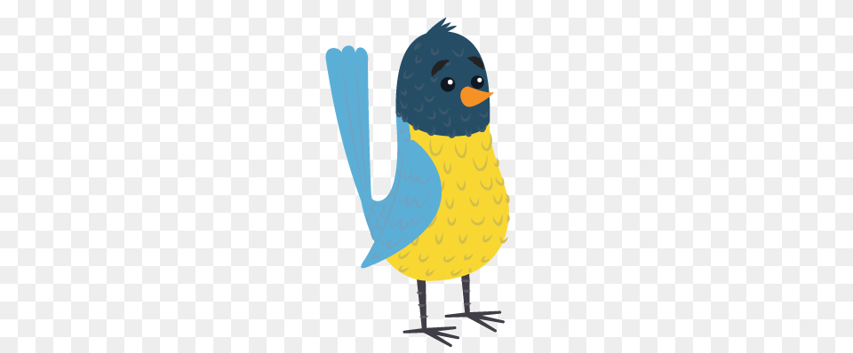 President Childrens Section, Animal, Bird, Jay, Bluebird Free Transparent Png