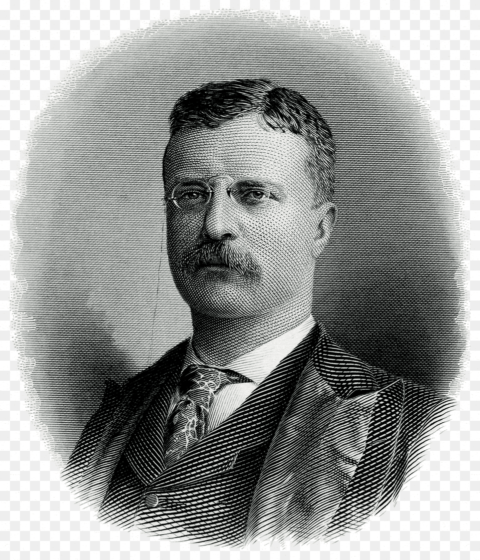 President Theodore Roosevelt Teodor Ruzvelt Art, Head, Person, Man, Male Free Transparent Png