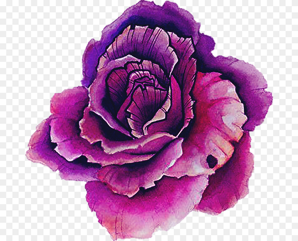 Presiosa Tumblr Acuarelas Lindo Pastel Cute Stickers Printable, Flower, Plant, Rose, Food Png Image