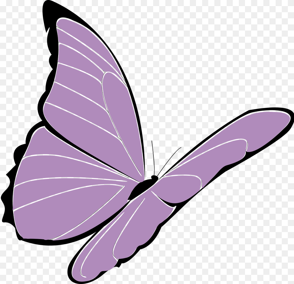 Presquesage Papillon Violet, Animal, Fish, Sea Life, Shark Free Png Download