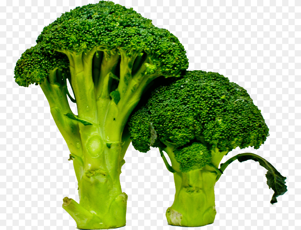 Press Kit Broccoli, Food, Plant, Produce, Vegetable Png