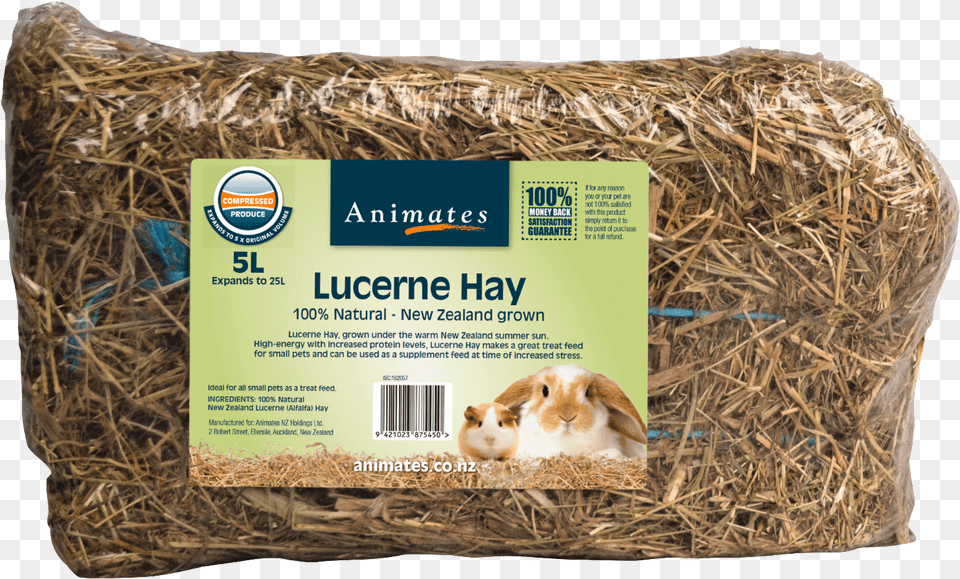 Pressed Hay Small Animals Guinea Pig, Outdoors, Straw, Countryside, Nature Png Image