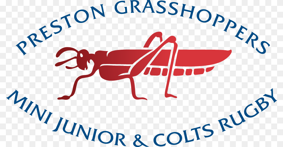 Preston Grasshoppers Rugby Football Club, Animal, Grasshopper, Insect, Invertebrate Free Png Download