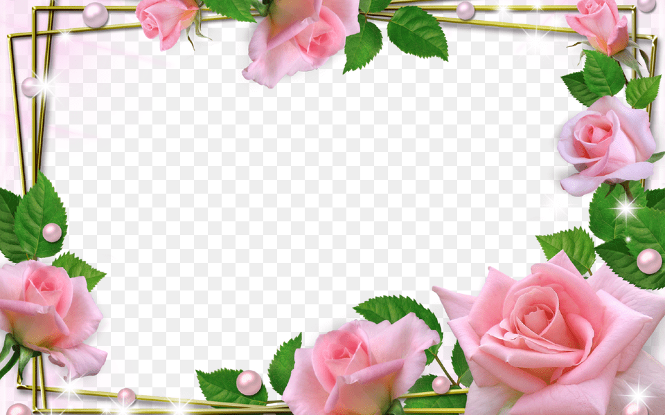 Pretty Beautiful Flower Frames Contemporary Images Chestit 8 Mi Mart, Plant, Rose, Petal, Flower Arrangement Free Transparent Png