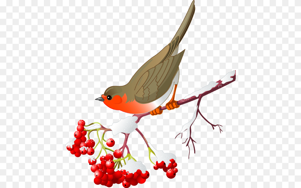 Pretty Bird Clipart, Animal, Finch, Art, Graphics Free Png Download