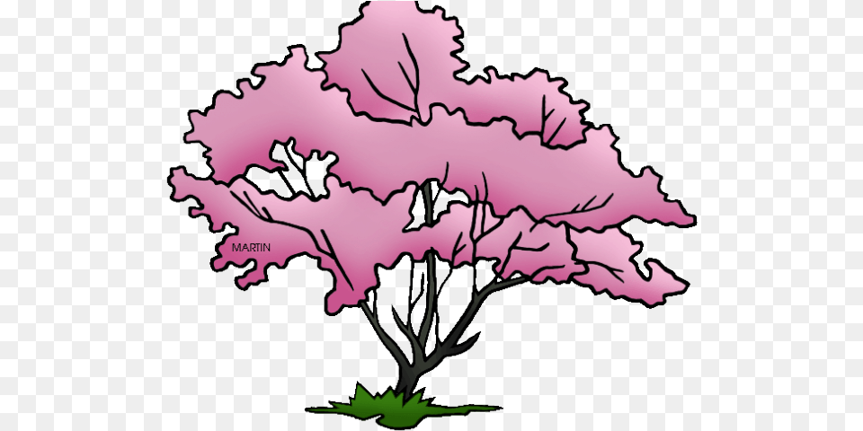 Pretty Clipart Dogwood Tree Virginia State Tree Drawing Missouri State Tree Drawing, Flower, Plant, Art, Cherry Blossom Free Transparent Png