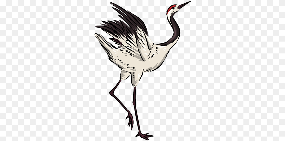 Pretty Crane Bird Ad In 2020 Long, Animal, Crane Bird, Waterfowl Png Image