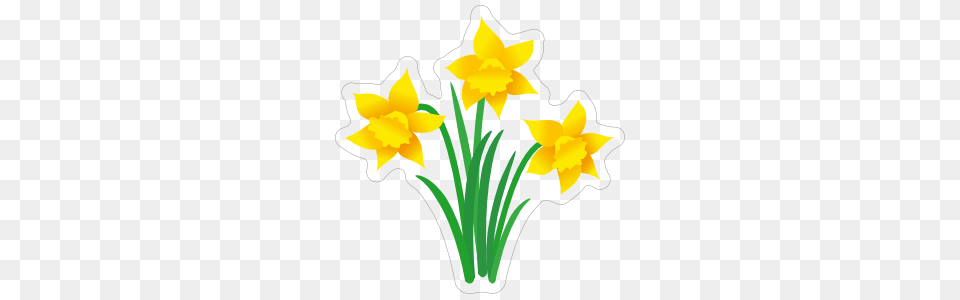 Pretty Daffodil Sticker, Flower, Plant, Dynamite, Weapon Free Transparent Png