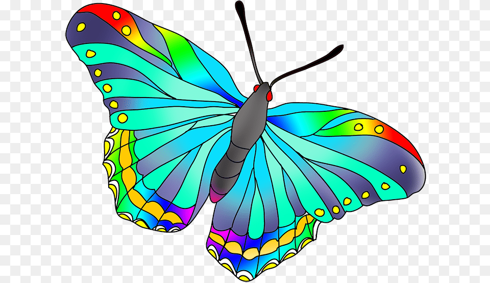 Pretty Drawing At Getdrawings, Animal, Butterfly, Insect, Invertebrate Free Png Download