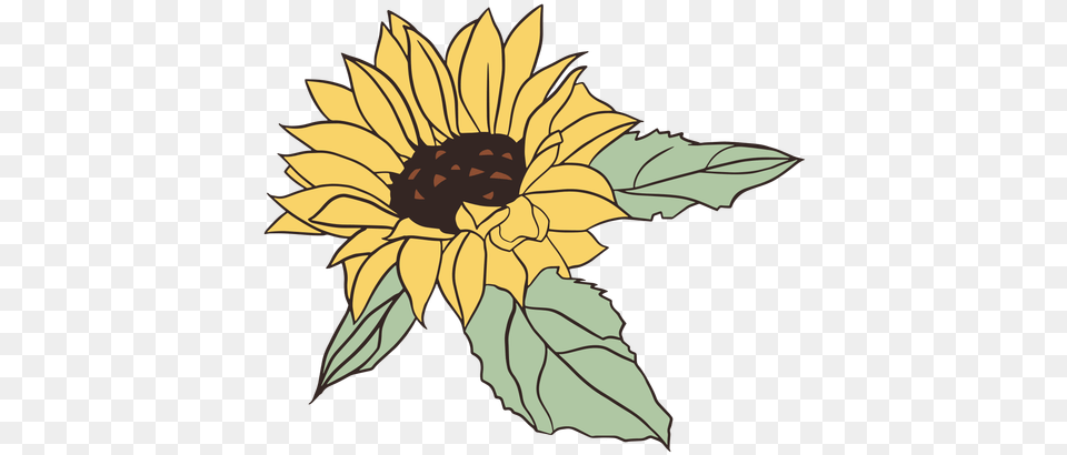 Pretty Hand Drawn Sunflower Transparent U0026 Svg Vector File Bonitas De Girasoles, Flower, Plant, Person Png