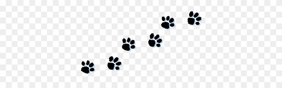 Pretty Images Of Paw Prints, Footprint Free Png