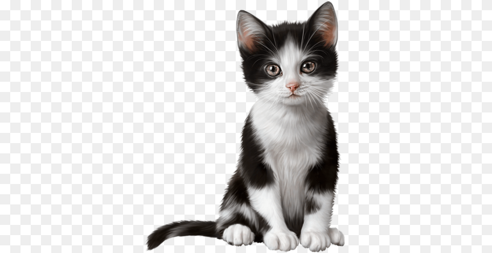 Pretty Kitty3 Clip Art Kot, Animal, Cat, Kitten, Mammal Free Png