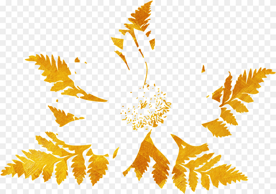 Pretty Maple Leaf, Plant, Pattern, Pollen, Flower Png