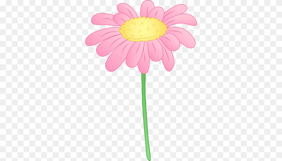 Pretty Pink Daisy Flower Applique Flowersfruit Trees, Petal, Plant, Dahlia, Smoke Pipe Png Image