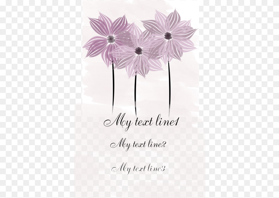 Pretty Pink Lilac Watercolor Flowers Greeting Card Marguerite Daisy, Dahlia, Envelope, Flower, Greeting Card Free Png Download