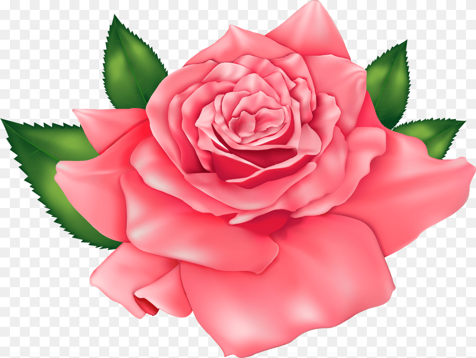 Pretty Rose Clipart Rose Clip Art Flower Free Png Download