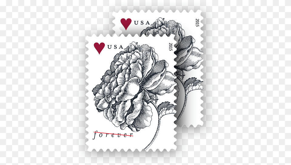 Pretty Stamps For Wedding Invitations Vintage Rose Sheet Of 20 Usps Forever Stamps, Postage Stamp, Pattern, Person, Adult Png