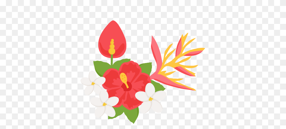 Pretty Tropical Flower Clipart Vector Clip Art Of Arrangement, Plant, Floral Design, Graphics, Pattern Png