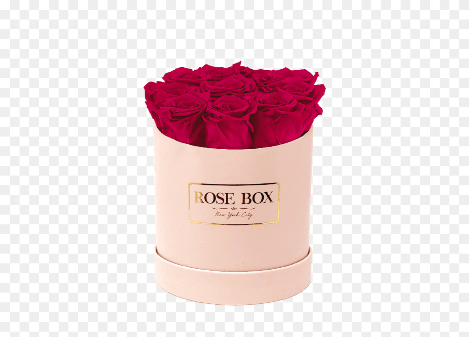 Prev Garden Roses, Flower, Flower Arrangement, Flower Bouquet, Rose Free Png