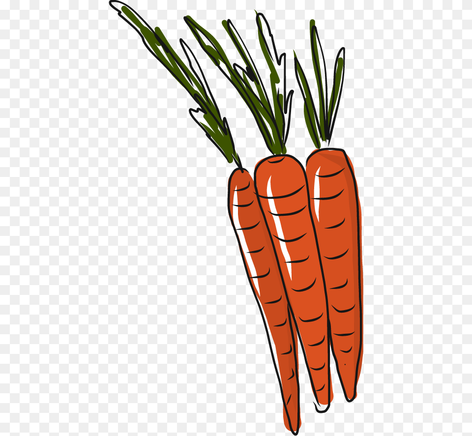 Prev Next, Carrot, Food, Plant, Produce Free Png