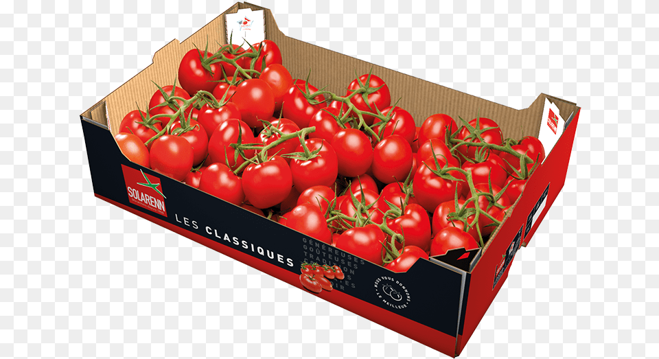 Prev Plum Tomato, Box, Food, Produce, Plant Free Png Download