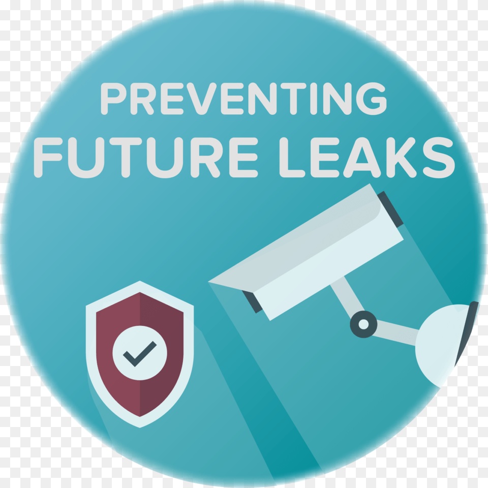 Preventing Dns Vpn Leaks Circle, Disk Free Png Download