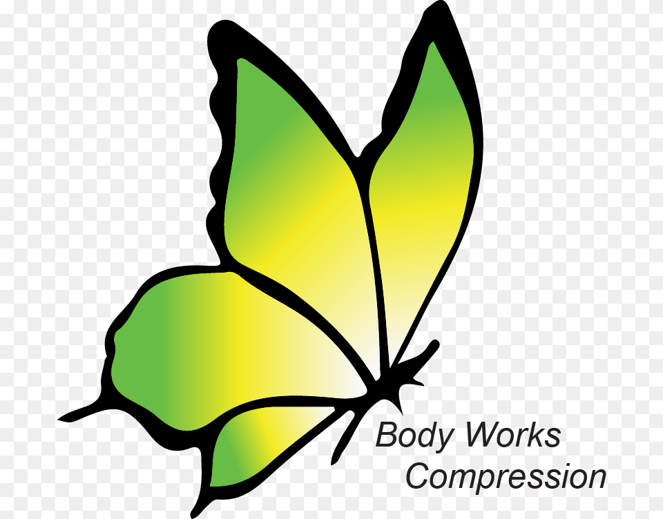 Preview, Leaf, Plant Free Png