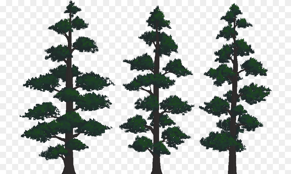 Preview Mountain Trees, Pine, Plant, Tree, Conifer Free Png