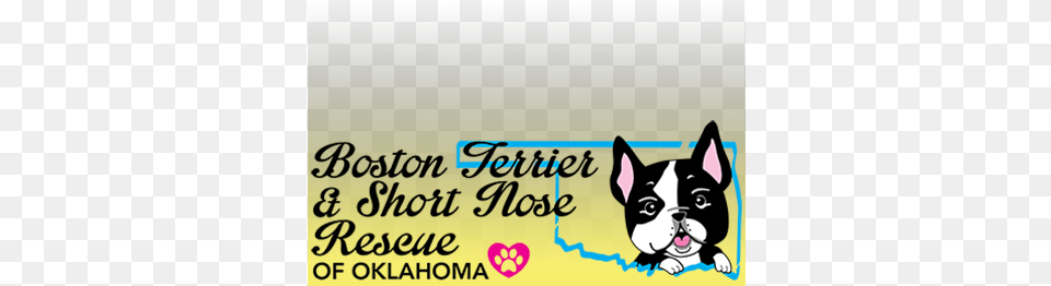 Preview Overlay Aqua, Animal, Boston Bull, Bulldog, Canine Png Image