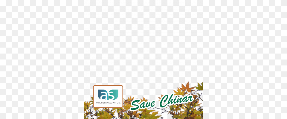 Preview Overlay Choice School, Leaf, Plant, Tree, Vegetation Free Transparent Png