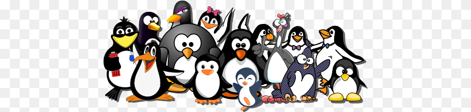 Preview Penguins Mousepad, Animal, Bird, Penguin, Baby Free Transparent Png