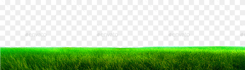 Previewgrass Grass Ground No Background, Plant, Field, Lawn, Nature Png Image