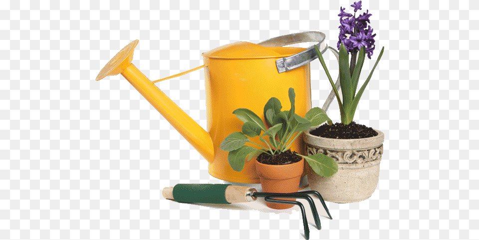 Previous Ferramentas De Jardinagem Em, Plant, Tin, Can, Flower Free Transparent Png