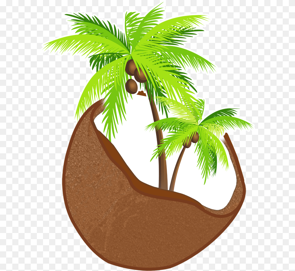 Previous Item Depositphotos L Next Item Southeastern Transparent Background Coconut Tree, Food, Fruit, Palm Tree, Plant Png