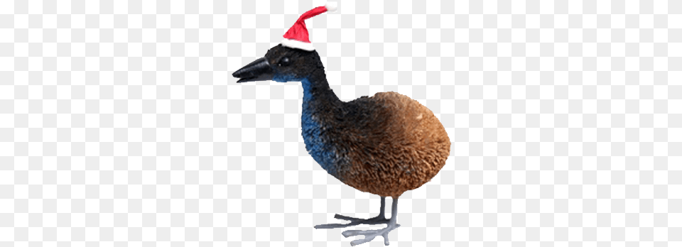 Previous Next Christmas Day, Animal, Beak, Bird, Mammal Png Image