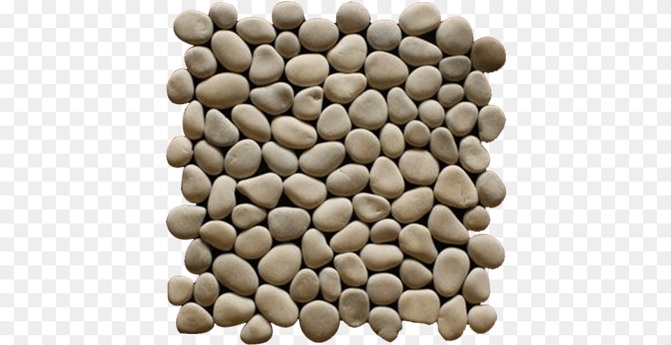 Previous Next Pebbles, Pebble, Bean, Food, Plant Free Png Download