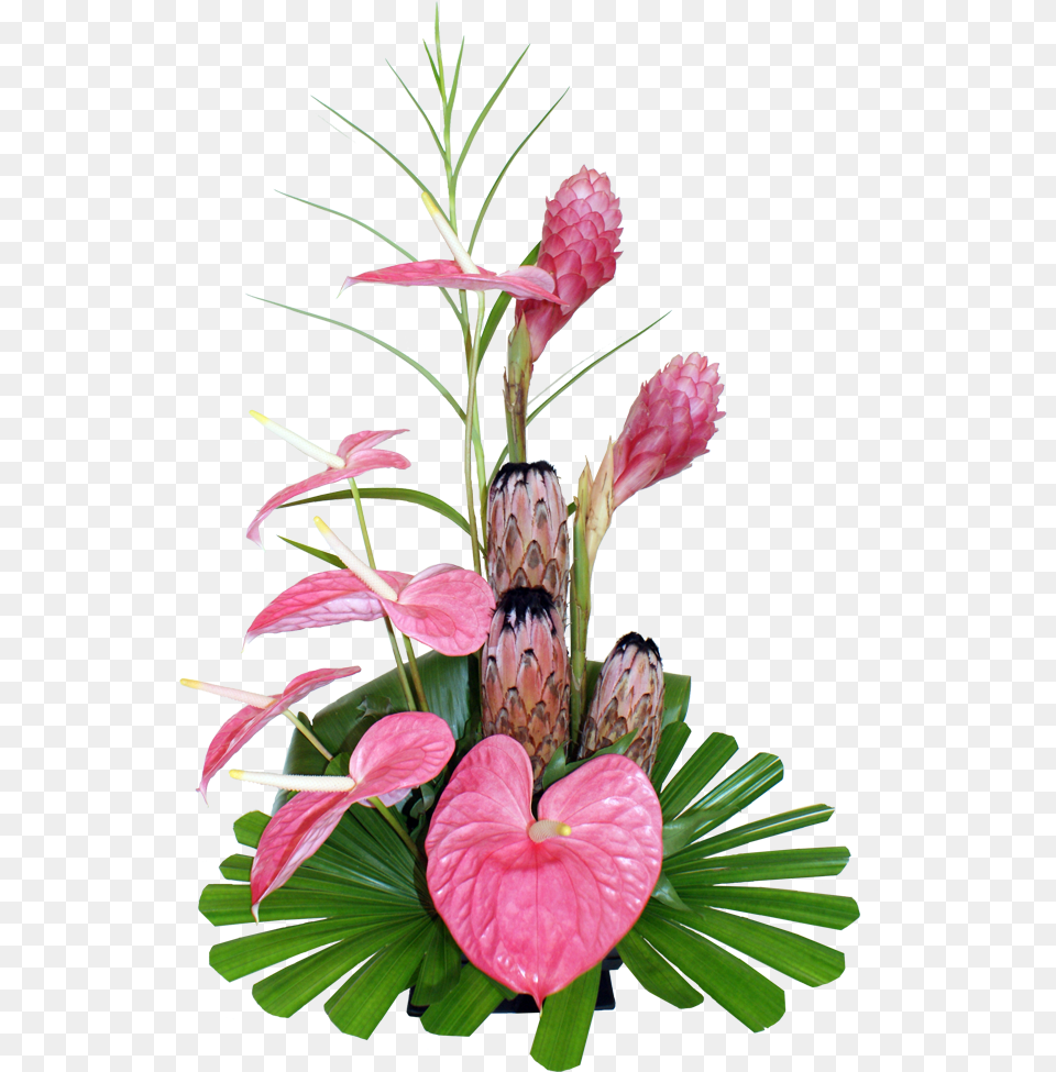 Previous Next Pink Exotic Floral Arrangements, Flower, Flower Arrangement, Plant, Flower Bouquet Png Image