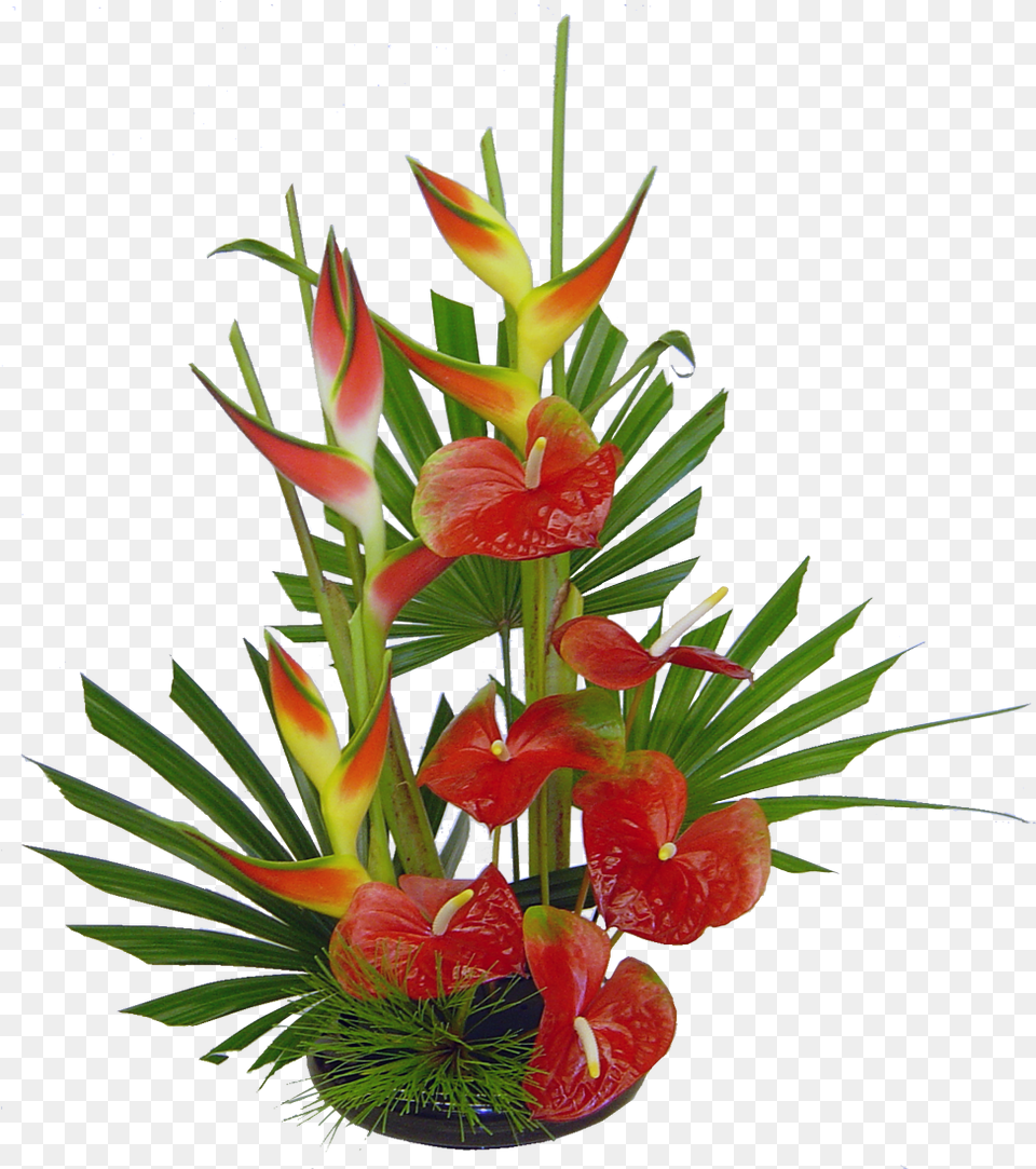 Previous Next Tropical Flower Arrangements, Flower Arrangement, Flower Bouquet, Ikebana, Plant Free Png