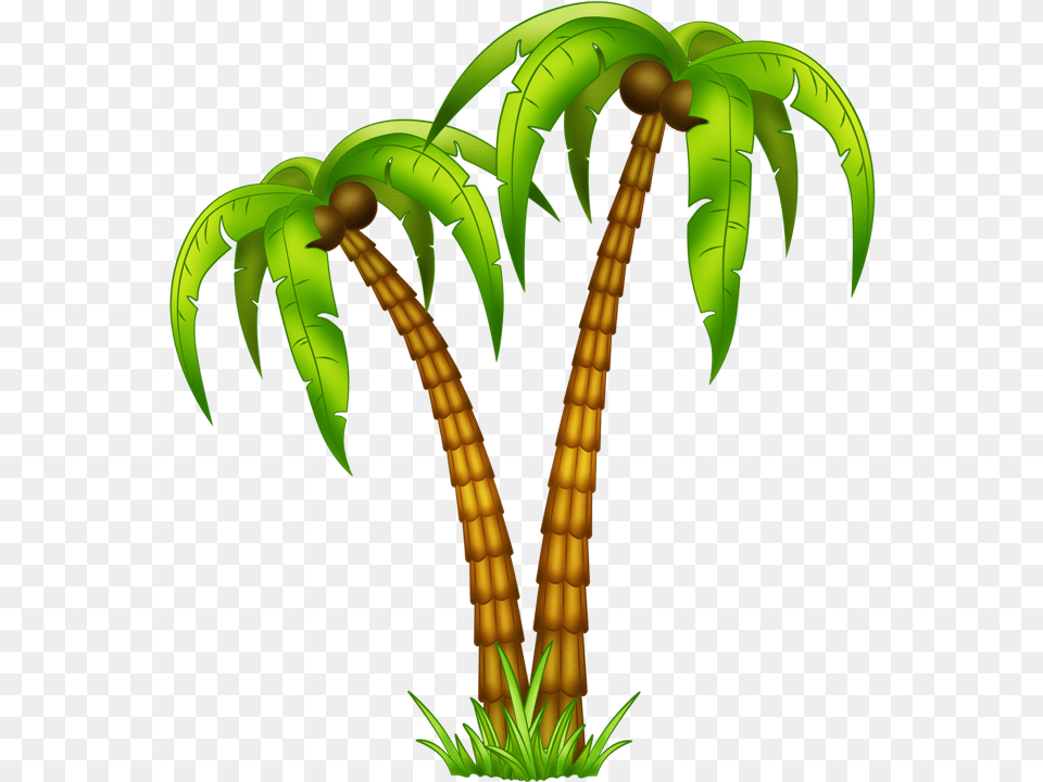 Previous Tropical Music, Fern, Plant, Electronics, Hardware Png Image