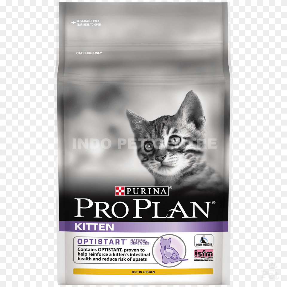 Previousnext Pro Plan Optistart Kitten Dry Cat Food, Advertisement, Poster, Animal, Mammal Free Png Download