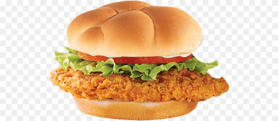 Prevnext Homestyle Chicken Burger, Food Png Image