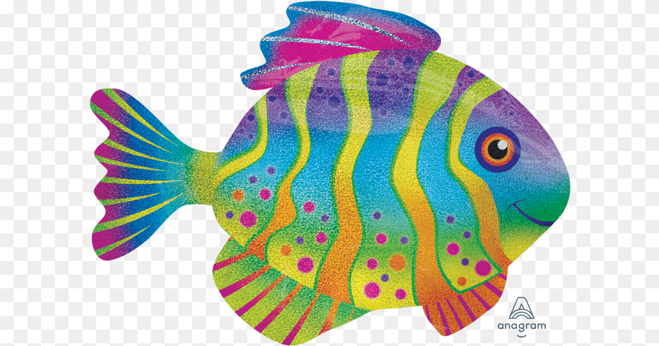 Price Discounts Colourful Fish, Angelfish, Animal, Sea Life, Baby Png