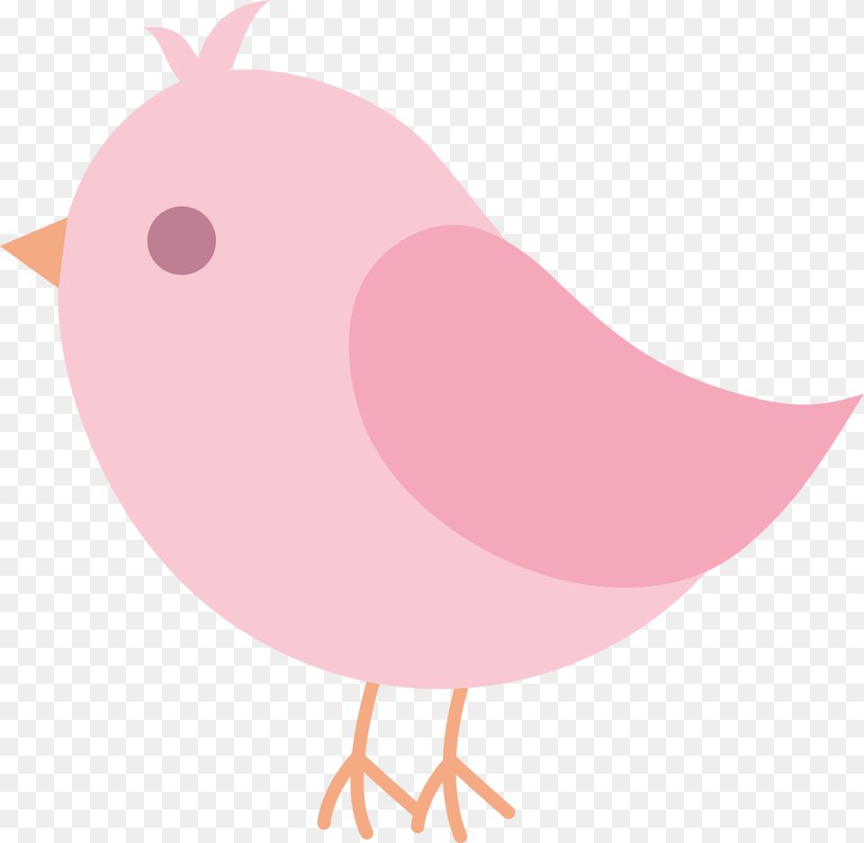 Price Is Right Baby Image Library Bird Clip Art, Person, Animal Free Transparent Png